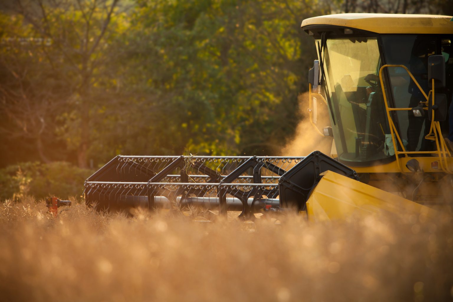 Colheitadeira em operação no campo durante a safra, representando a importância do Seguro RD Equipamentos para proteger máquinas agrícolas contra imprevistos.